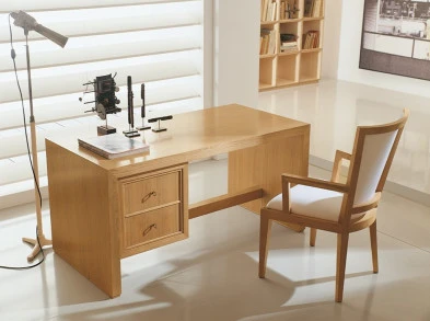 Письменный стол Annibale Colombo Quadro M1253