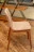 Стул Aralia Tonin Casa Modern 45 x 55 x 85h nc53761