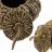 Декоративный элемент Citrouille (2 шт) Eichholtz Accessories 13/12,5h x ø23/19 nc67200