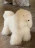 Пуф Visionnaire Klipper dog