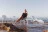 Шезлонг Ibiza Vondom Daily 177 x 73 x 72h nc81571