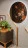 Зеркало Family Tonin Casa Modern 100 x 180h nc57118