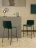 Стул Tonin Casa Alexia
