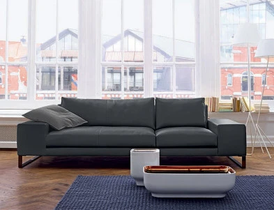 Диван Exclusif Ligne roset 10002966