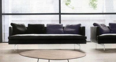 Диван Stricto sensu Ligne roset 17130300