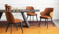 Стул Calligaris Foyer CS1889