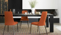 Стул Calligaris Etoile CS1424
