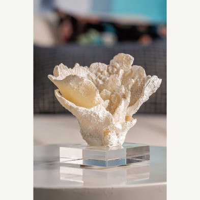 Декоративный элемент Arrecife Vical Home Decor 16 x 11 x 11h nc108580