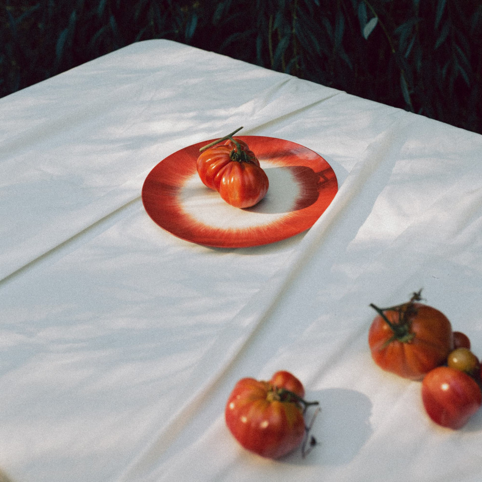 Комплект из 2-х обеденных тарелок Serax DE, диаметр 24 см, красный, кремовый, фарфор