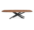 Стол в столовую Cattelan italia Lancer Wood