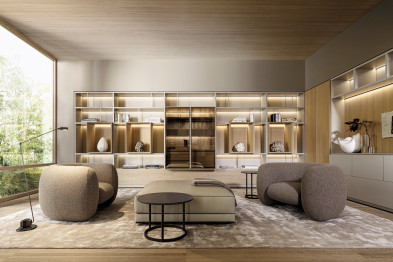 Модульная стенка Molteni 505 UP System