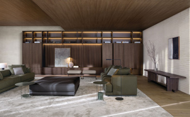 Модульная стенка Molteni 505 UP System