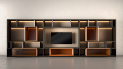Модульная стенка Molteni 505 UP System
