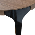 Обеденный стол Hurtado Legacy 220-320 x 120 x h76 см, шпон, массив бука