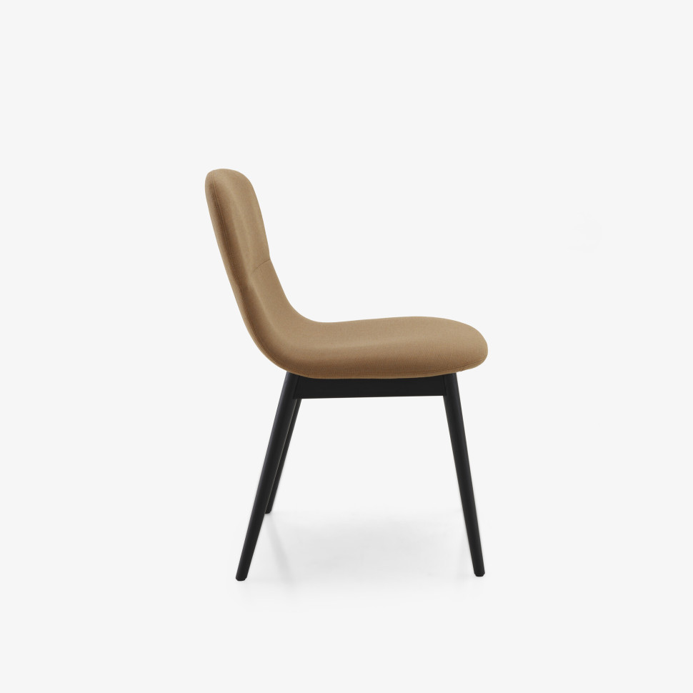 Стул Ligne Roset Silvio / Silvia - материал