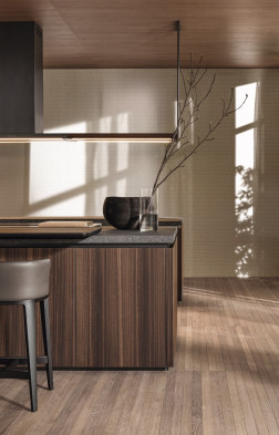 Кухня Molteni Hi-Line 6 Frame Door
