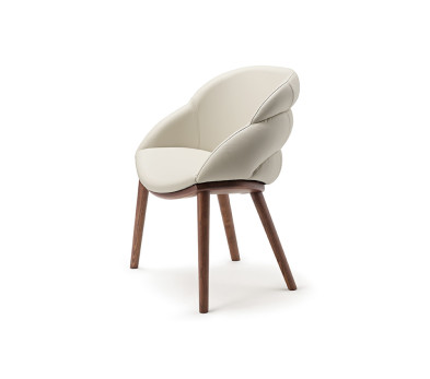 Стул в столовую Cattelan italia Camilla