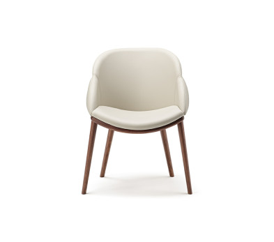 Стул в столовую Cattelan italia Camilla