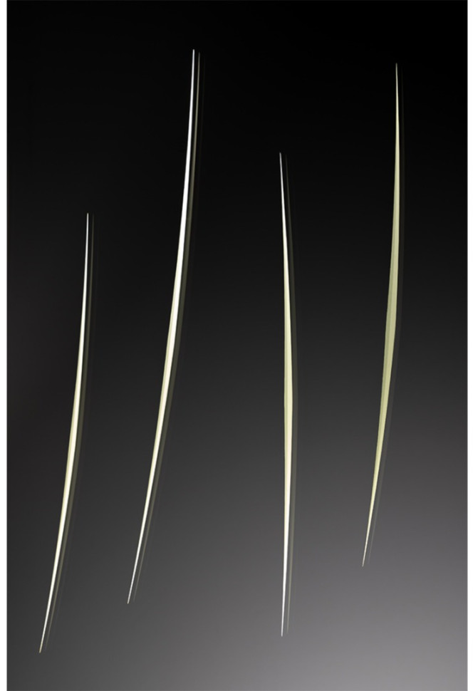 Зеркало Reflex Disegno Luce Specchio