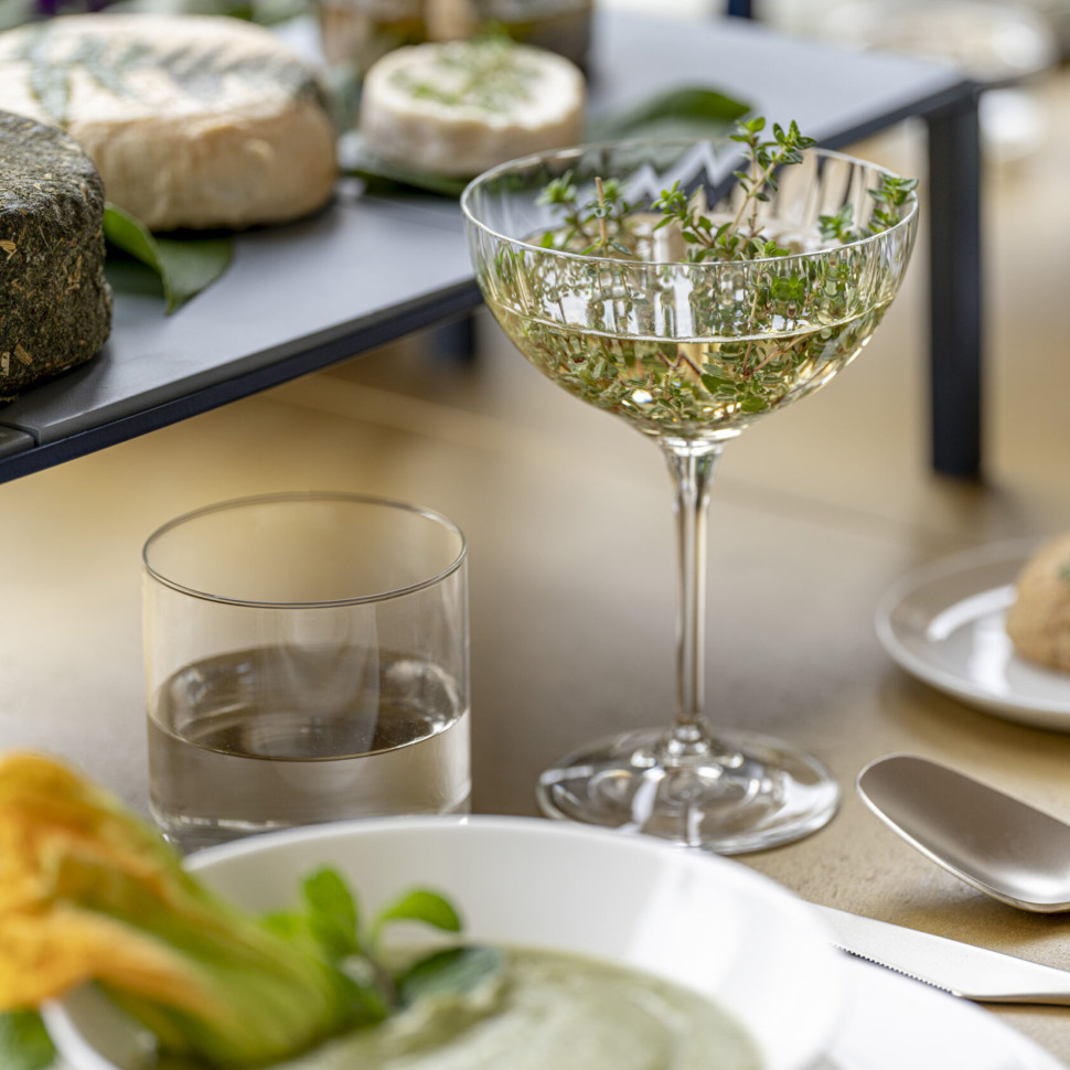 Комплект из 6-ти бокалов для мартини SchonhuberFranchi Lines Collection, 210 мл, стекло