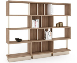 Библиотека Asnaghi Tarzana